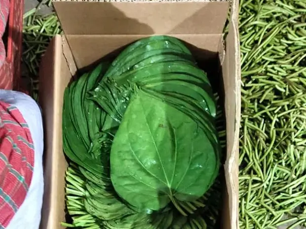 Betel leaf boxed at the packing floor