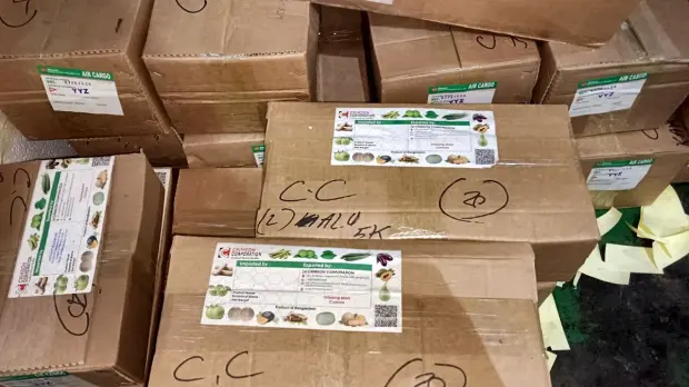 Air cargo labels for Toronto on Crimson Corporation cartons