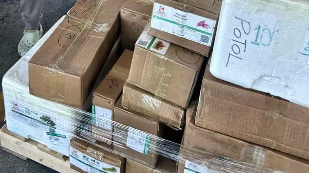 A Crimson Corporation pallet received at the destination in Canada