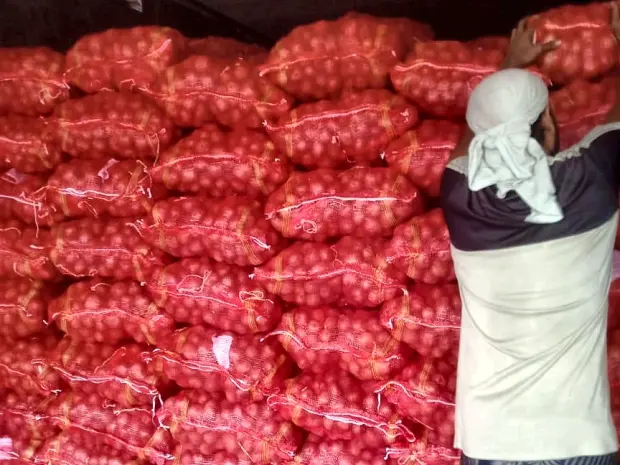 Sacks hand stacked inside the container during stuffing