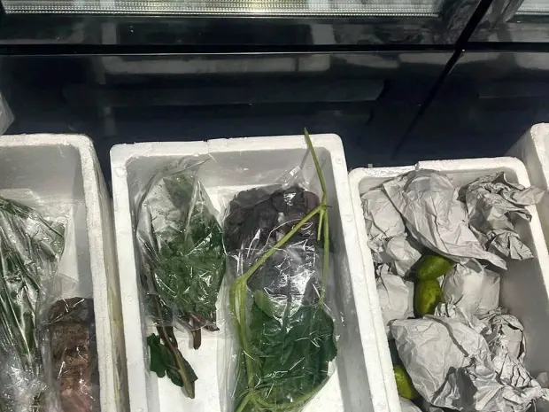 Bagged leafy greens and roots boxed for air freight