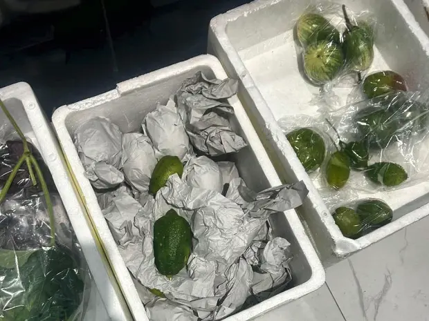 Tissue wrapped fruit packed into an insulated air freight box