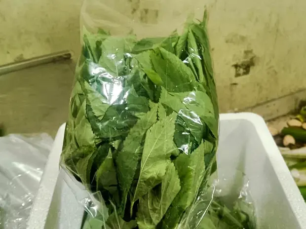 Bagged leafy greens placed into an insulated box