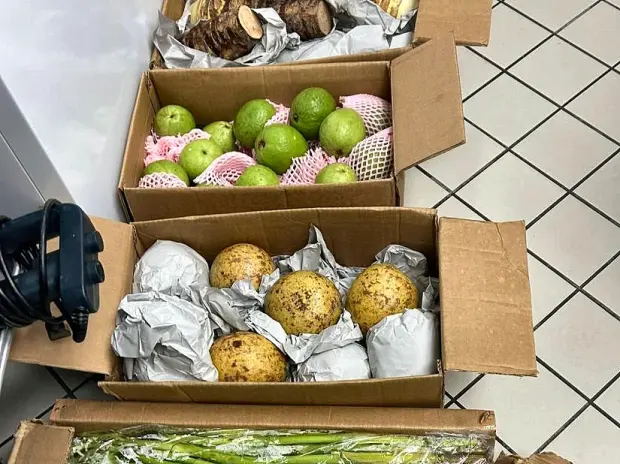 A mixed consignment built line by line: taro root, guava, wood apple and colocasia stolon