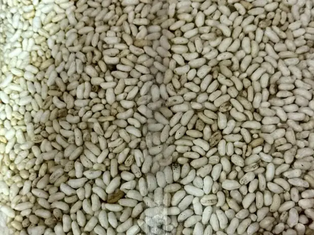 Puffed rice packed for retail export