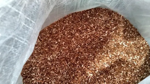Red rice bagged in a woven export sack