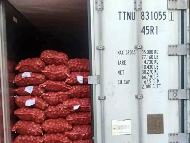 A 40 ft reefer container part stuffed with mesh sacks