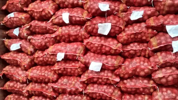 Mesh sacks stacked and slip marked inside the container