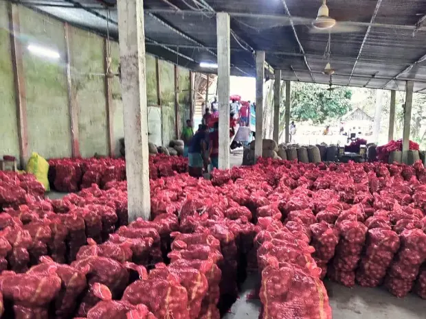 Mesh sacks graded and staged in the collection warehouse