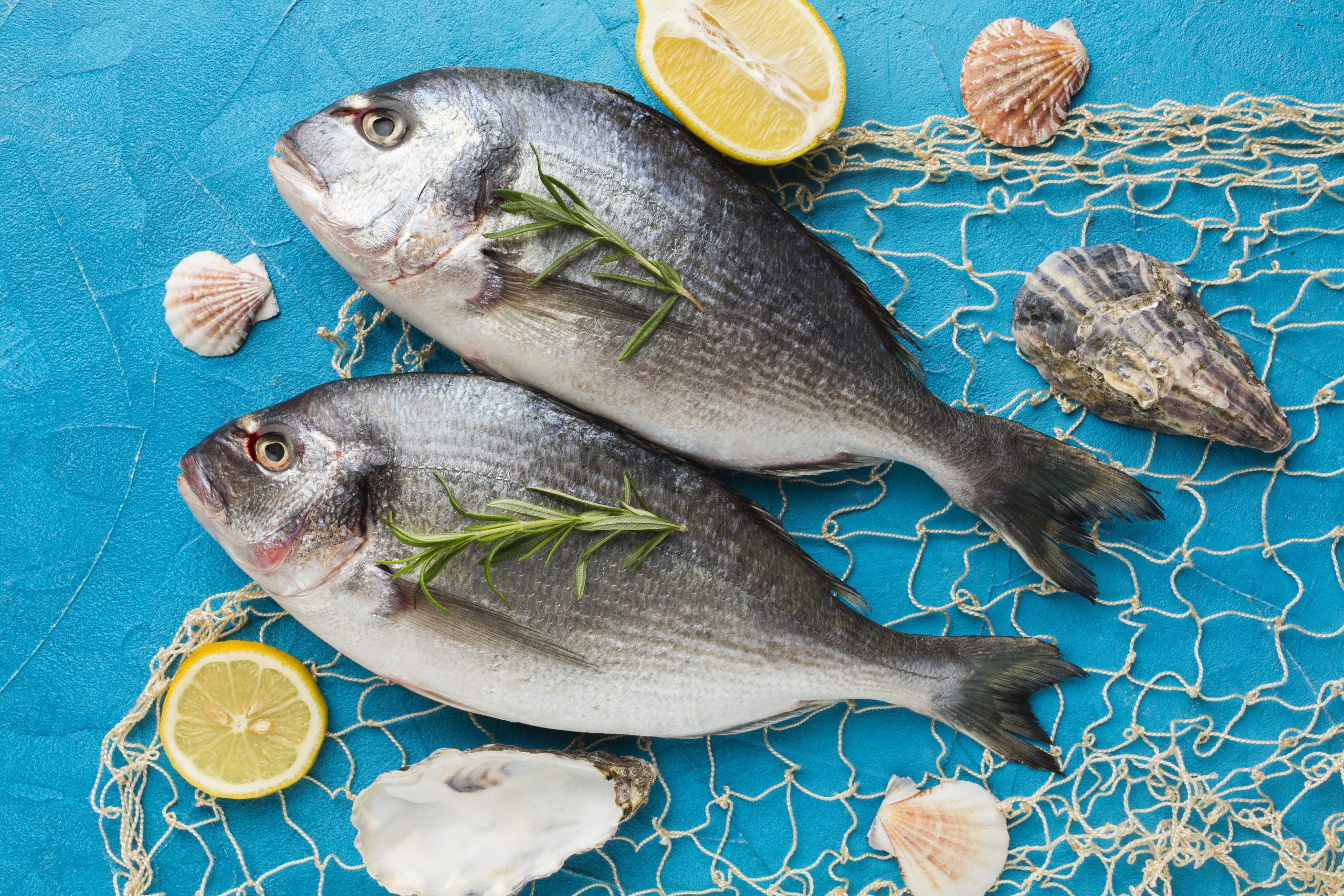 Premium Fish Export Canada